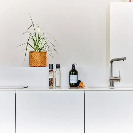 Netzschuppen 4 * Kappeln